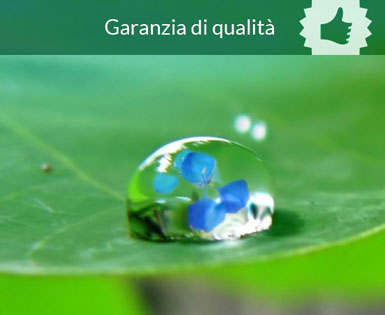 Visualizza le garanzie di qualità e le certificazioni di GSG